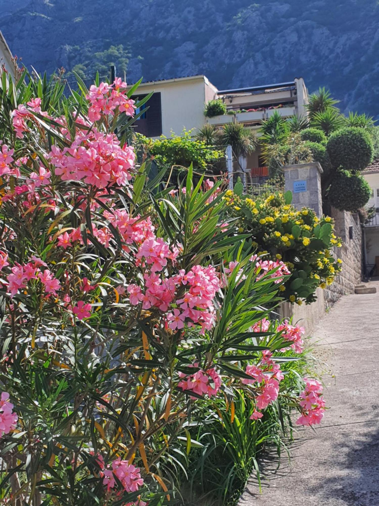 La Grande Apartments Kotor Exteriör bild